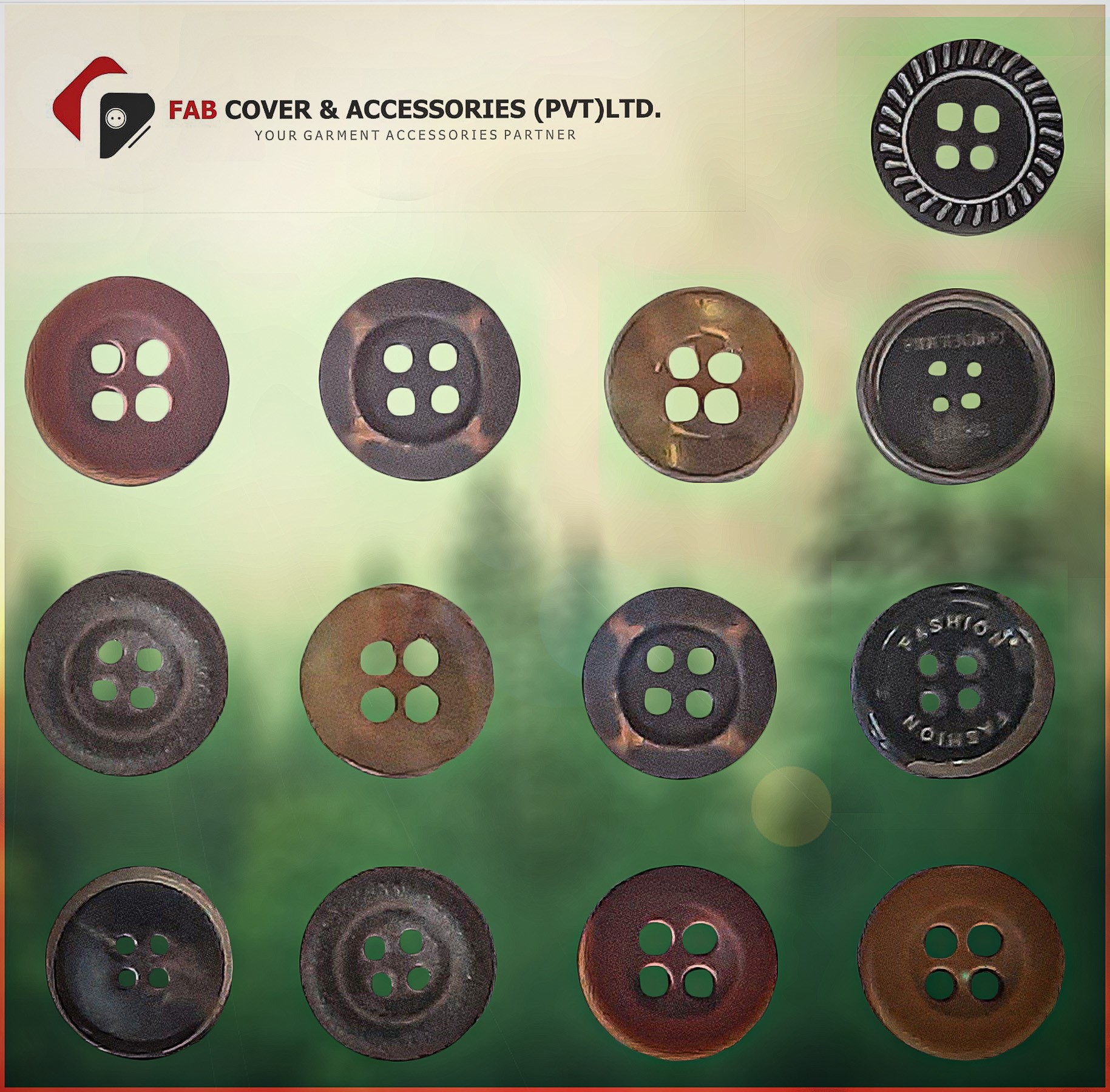 Home button